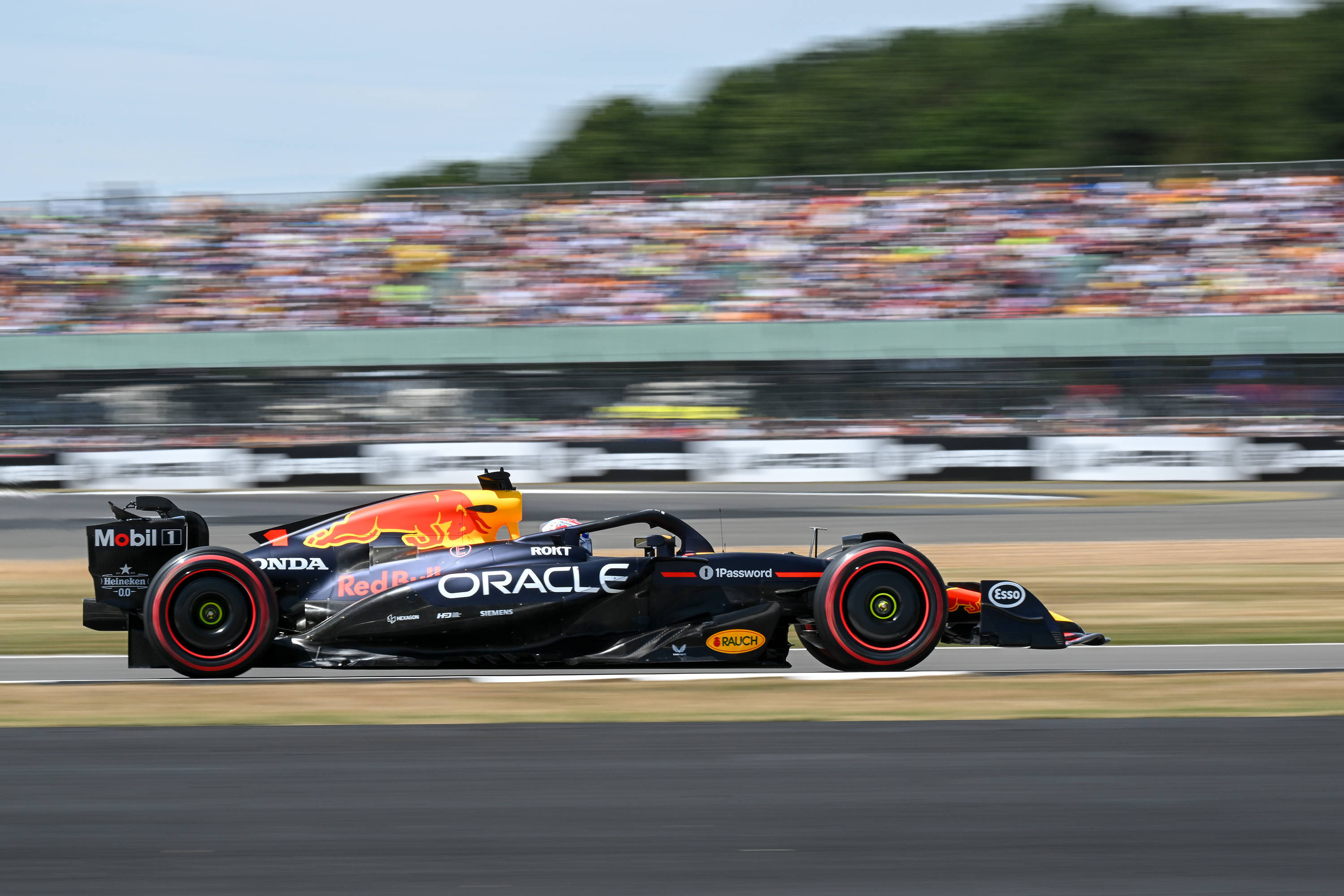 开云体育官方网站-哈斯车队碾压红牛车队,塞恩斯扛起全队 第2张 开云体育官方网站-哈斯车队碾压红牛车队,塞恩斯扛起全队 第2张